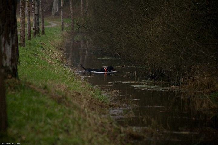 IMG_2523.jpg - Bord du canal. 
Comme hier, retour calme par le canal.