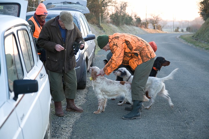 IMG_2655.jpg - Prparation. 
Nous arrivons sur le terrain. Les cloches sont mises aux chiens.
